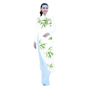 Áo dài truyền thống