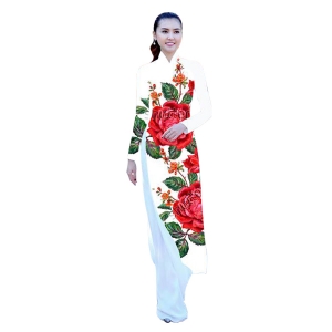Áo dài truyền thống