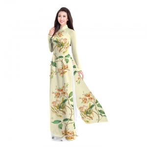 Áo dài truyền thống
