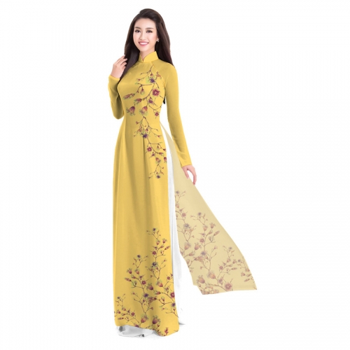 Áo dài truyền thống