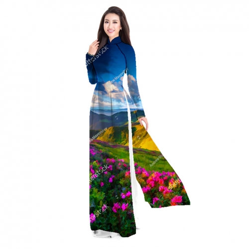 Áo dài truyền thống