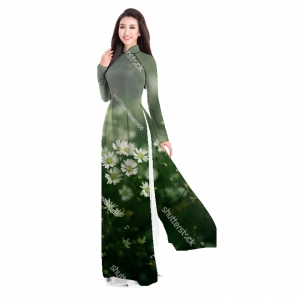 Áo dài truyền thống