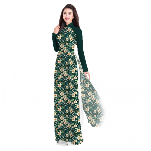 Áo dài truyền thống
